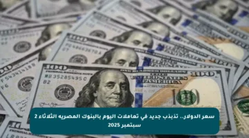 سعر الدولار.. تذبذب جديد في تعاملات اليوم بالبنوك المصرية الثلاثاء 2 سبتمبر 2025